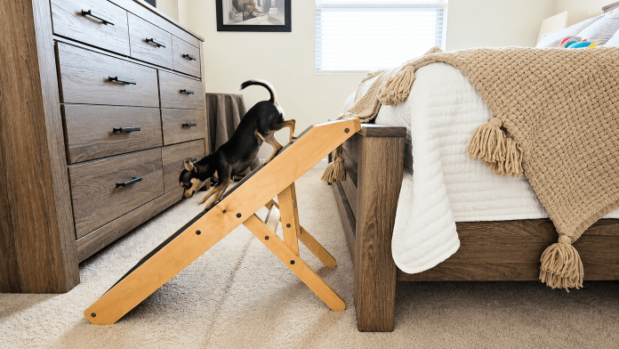 Small dog safety products include a durable, safe dog ramp.