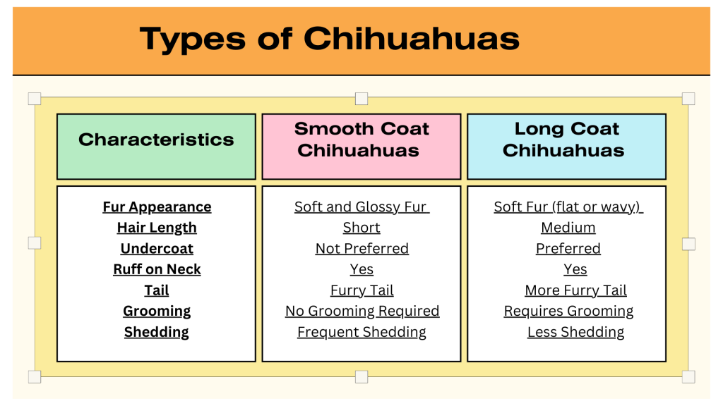 types of chihuahuas, chihuahua breeds