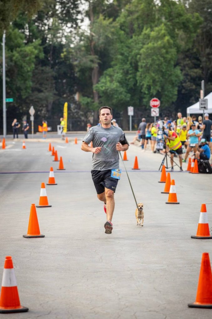 Are Chihuahuas good at running long-distance? Jellybean sure can.