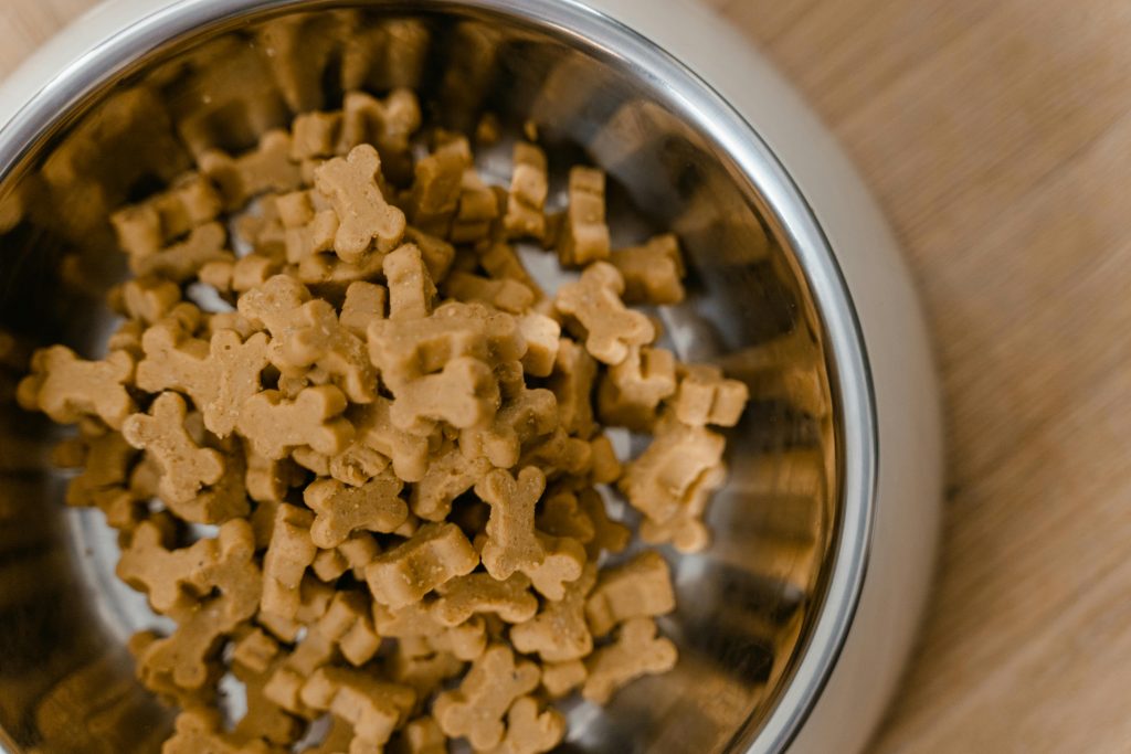 a bowl of dog food. how much should a Chihuahua eat, best dog food for chihuahuas.