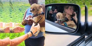 a woman and a dog in a car