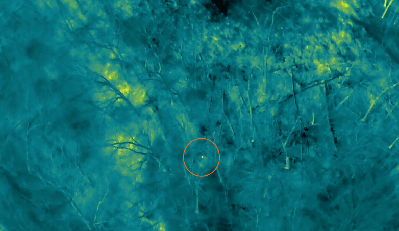 a tree with no leaves. drone pet recovery
