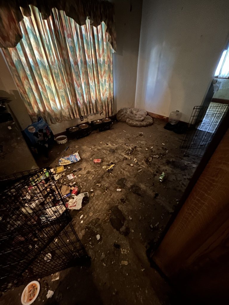 a dirty room with food and trash on the floor