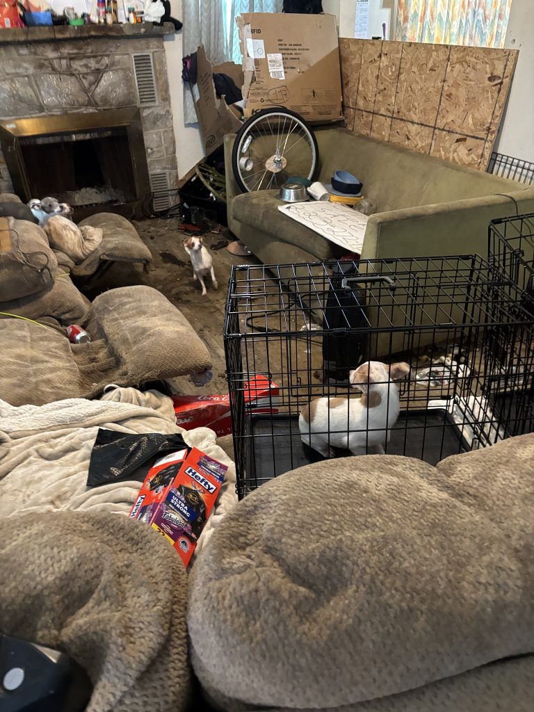 a dog in a cage in a living room