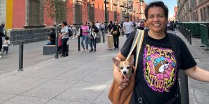 a woman holding a dog, chihuahua travel