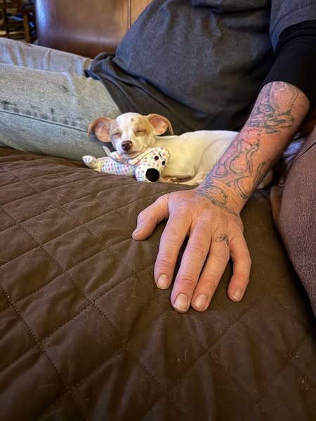 a person lying on a couch with a dog
